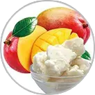 Shea Mango Butter